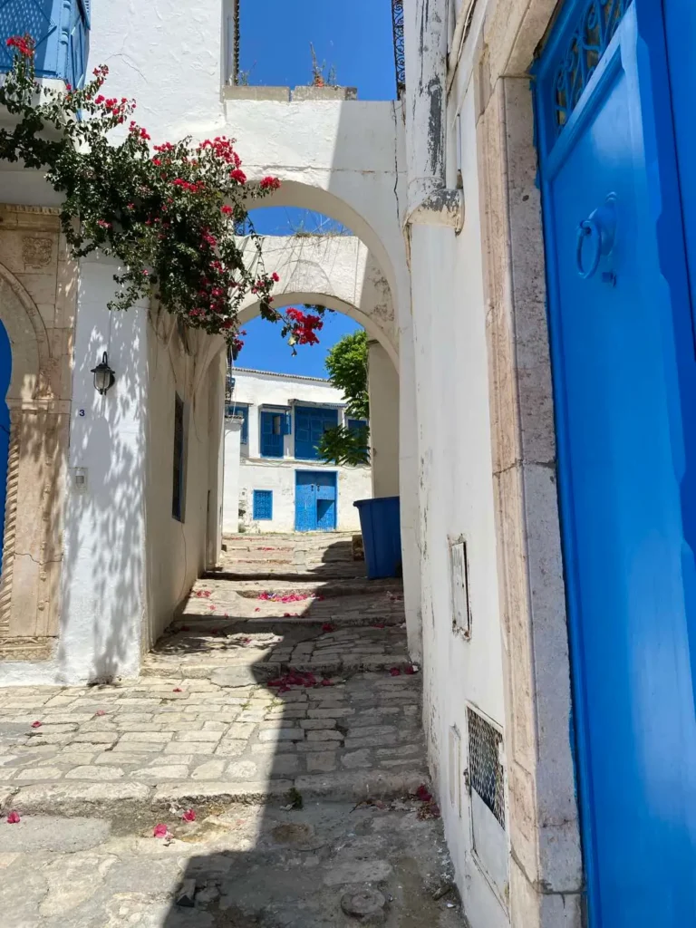 Sidi Bou Said Tunisia traditional blue and white village near Tunis