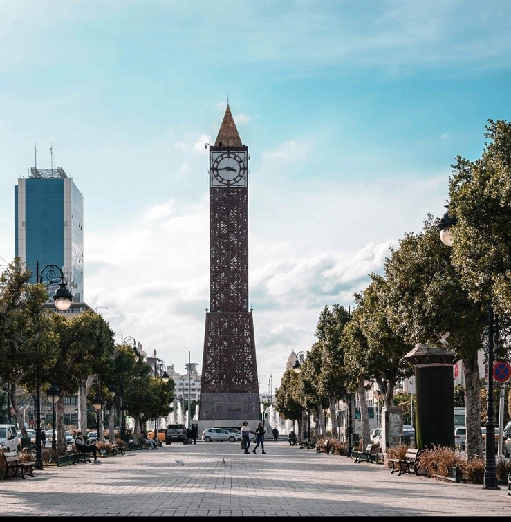 what to do in carthage tunisia – Avenue Habib Bourguiba city center Tunis