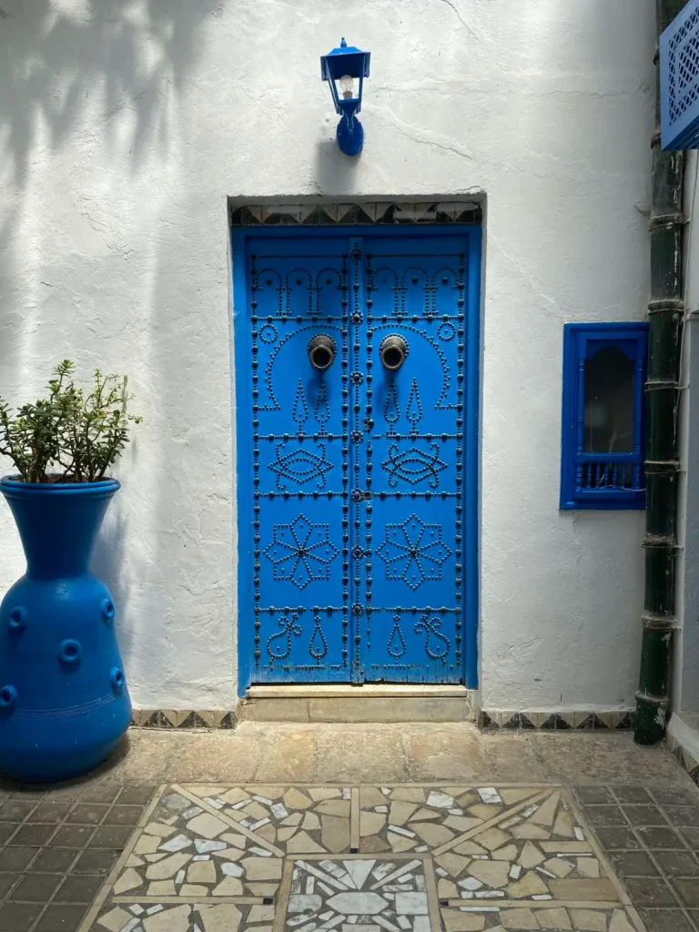 Sidi Bou Said blue and white streets Tunisia 2026 best coastal excursions and private tours