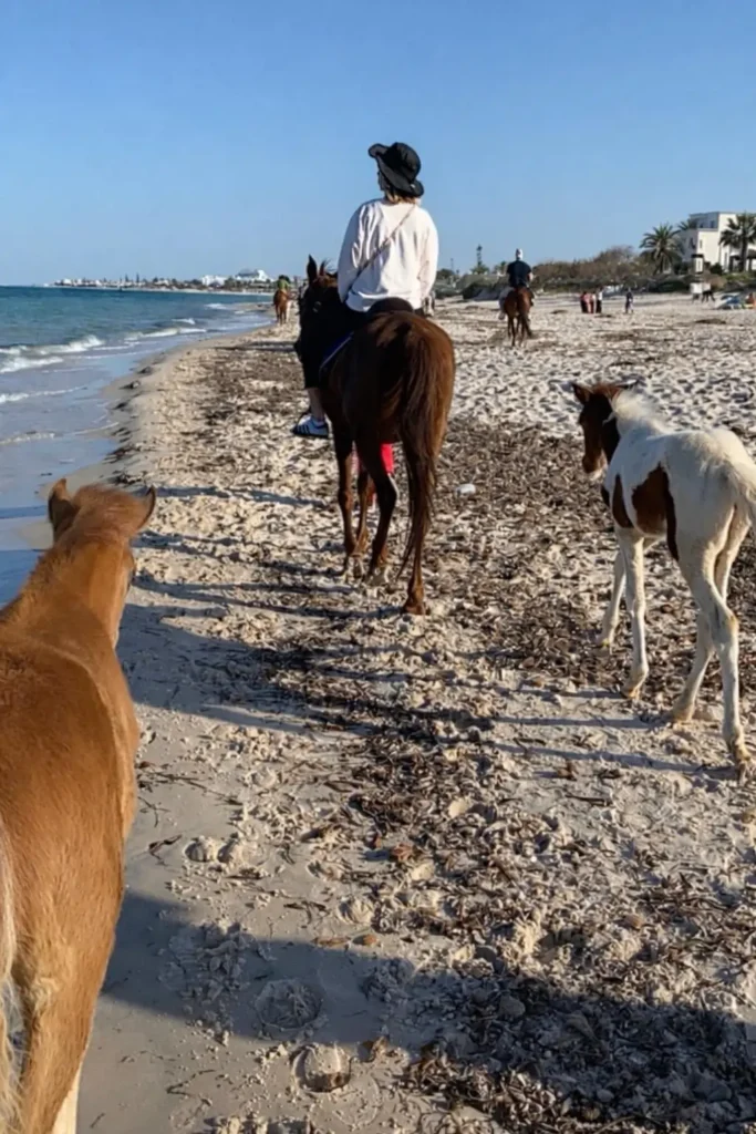 Beach horse riding in Sousse Tunisia with ponies and sea view